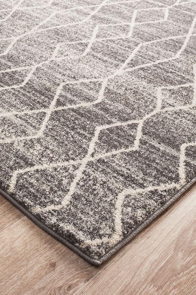 Evoke Remy Silver Transitional Rug