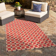 Vista Tito Pink Rug