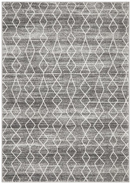 Evoke Remy Silver Transitional Rug